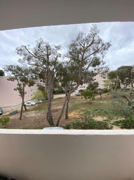 T3 La Ciotat Plage Eksteriør billede